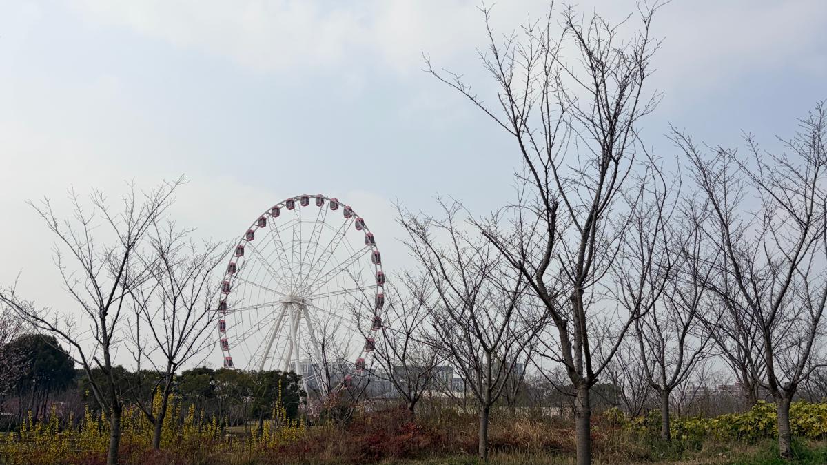 上海-冬日树林旁的摩天轮.jpeg