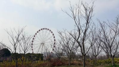 上海-冬日树林旁的摩天轮
