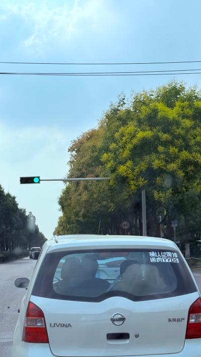 仙桃-路边的白色轿车