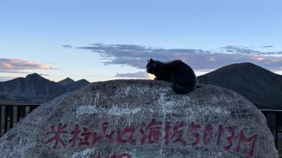 墨竹工卡-米拉山口石碑上的黑猫_9