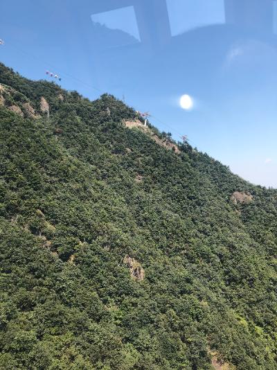 安吉-缆车外的青翠山坡_2