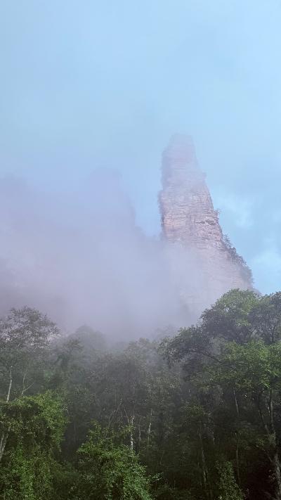 张家界-云雾中的石峰_5