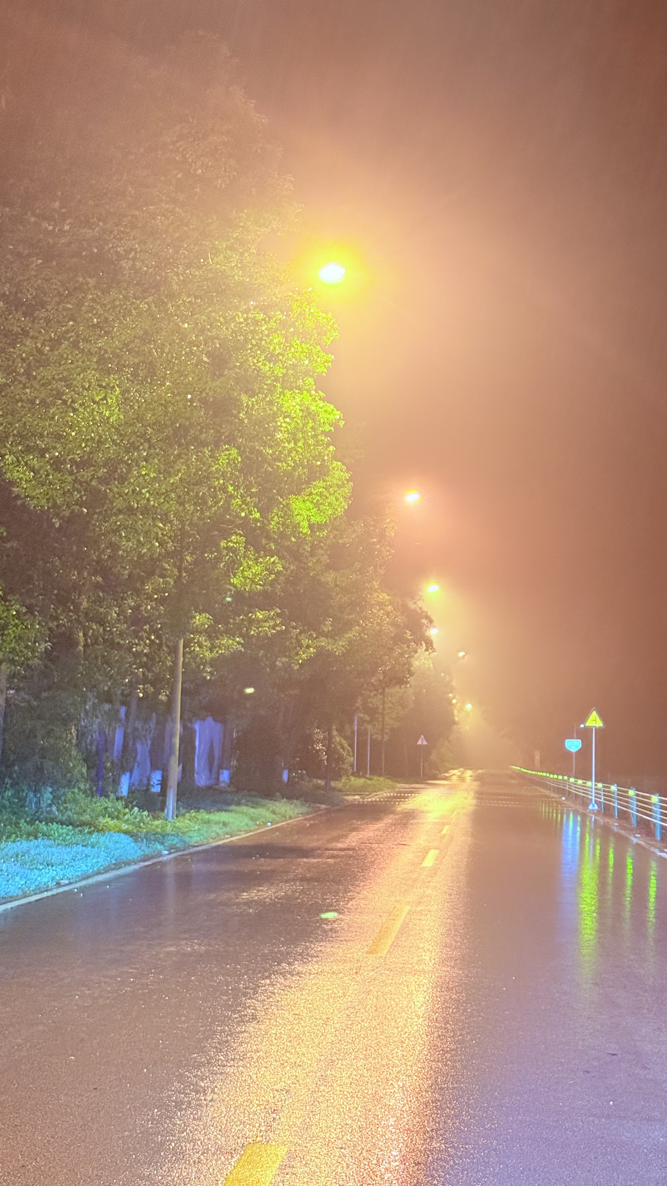 张家界-雨夜路灯映亮湿润山路.jpeg