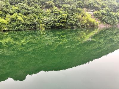 德清-湖面上的青山倒影