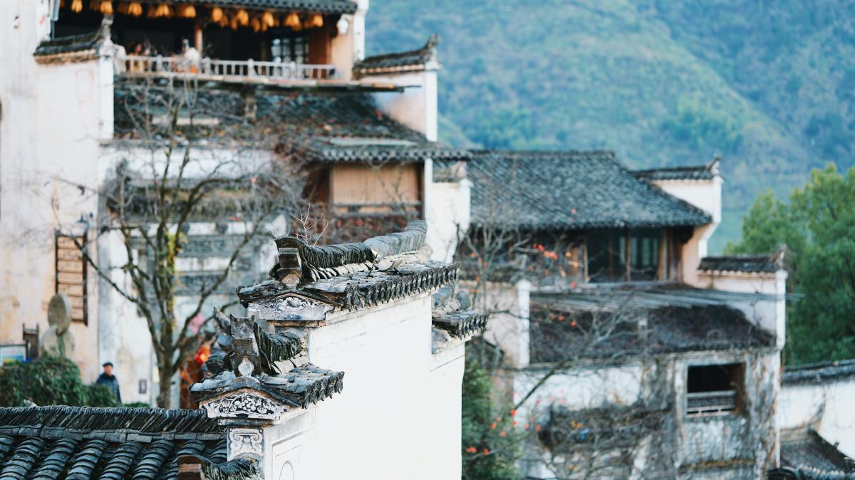 徽派马头墙古建筑群与青山.JPG