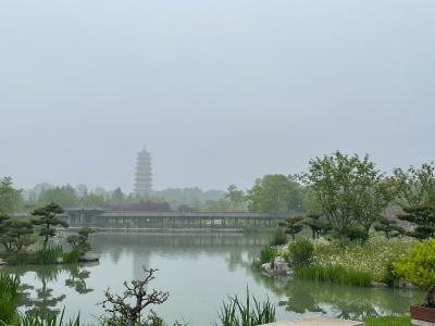 扬州-湖光园林与远处宝塔_3