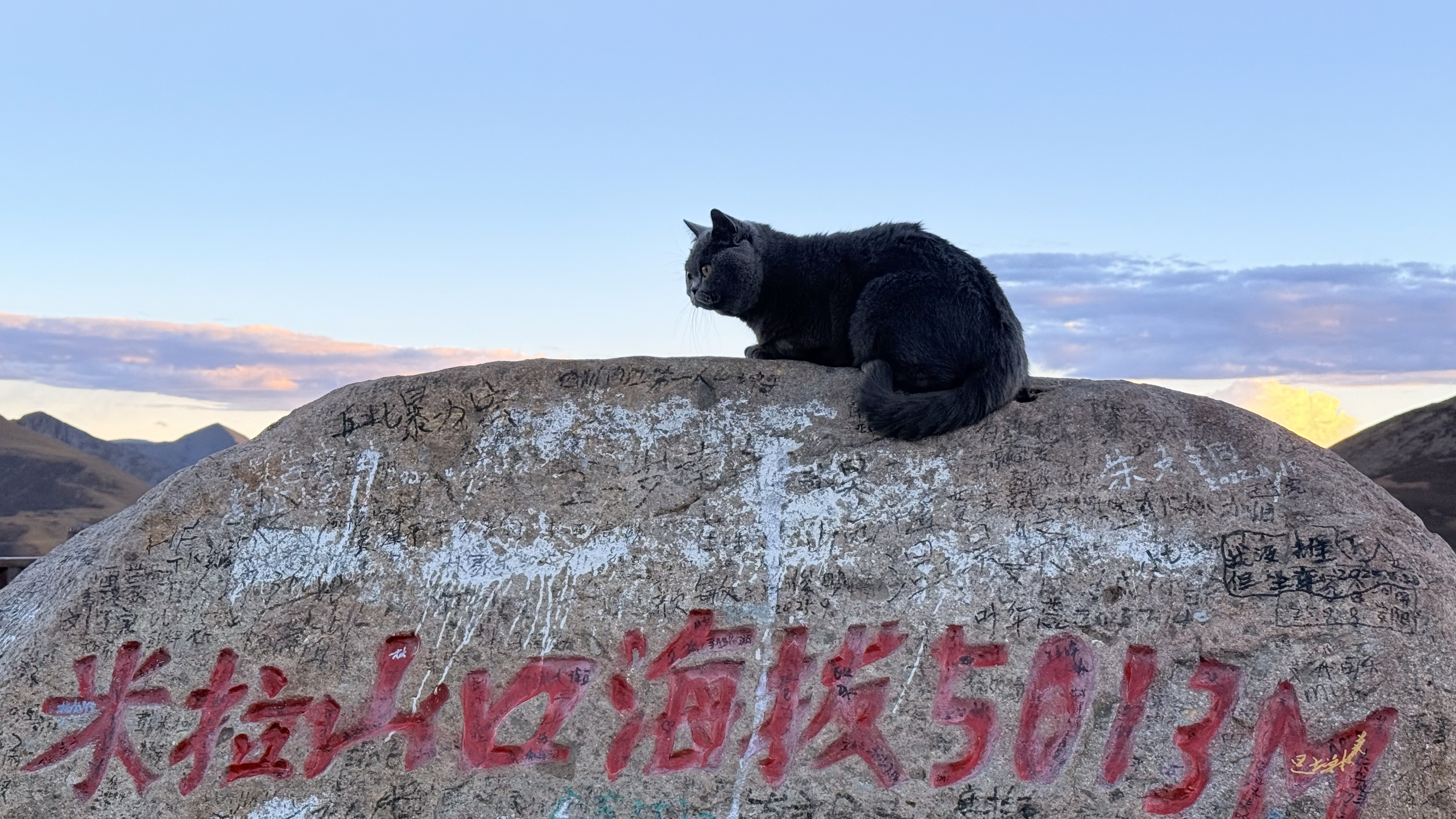拉萨·米拉山口-黑猫卧在五千米高原石碑上.jpeg