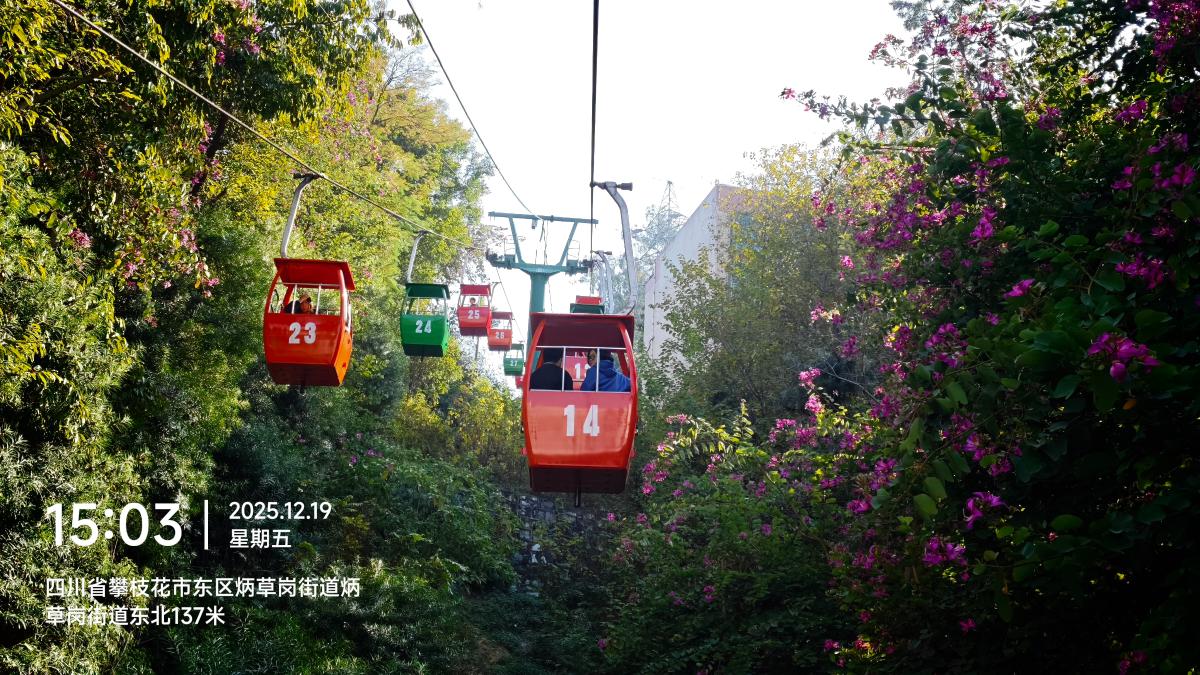 攀枝花-山林间的缆车_2.jpg