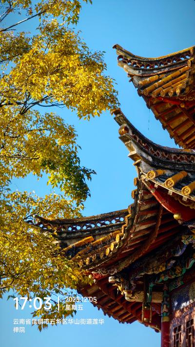 昆明-金黄树叶与古建飞檐