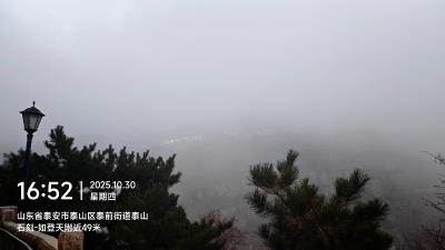 泰安-云雾中的泰山松林