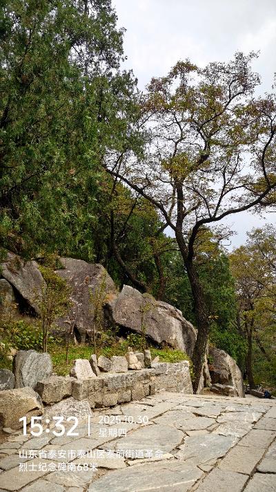 泰安-山间的岩石与树