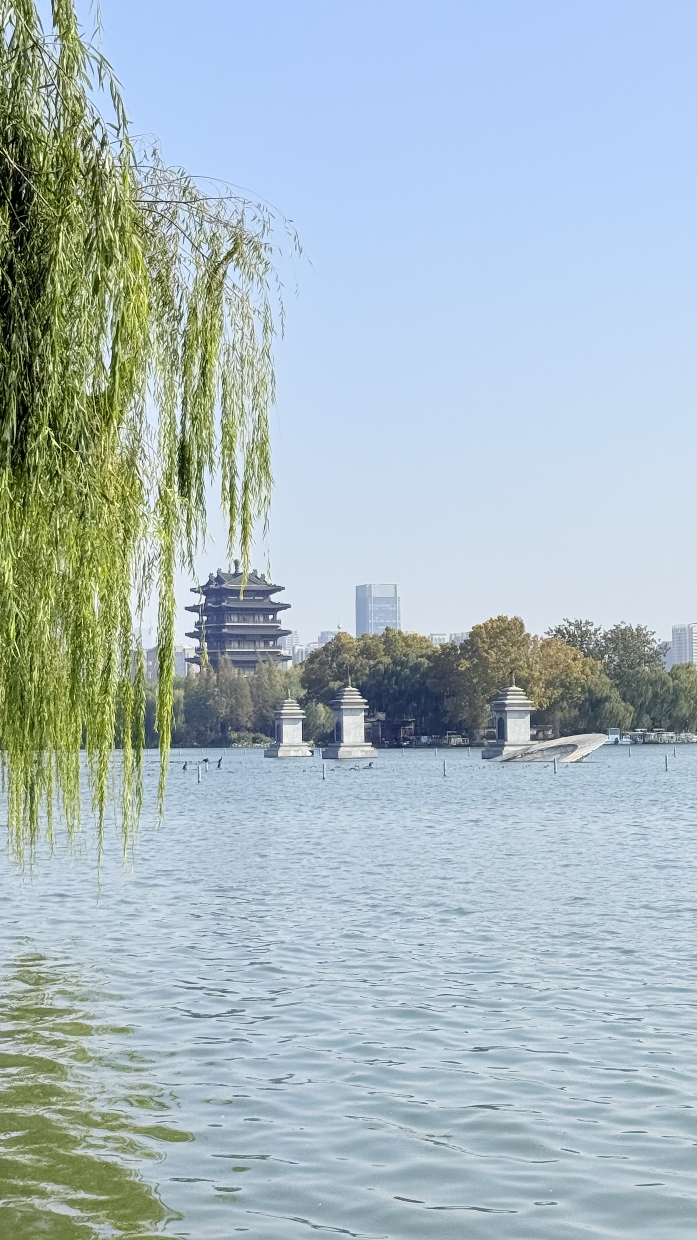 济南·大明湖-垂柳掩映下的湖心塔影.jpeg