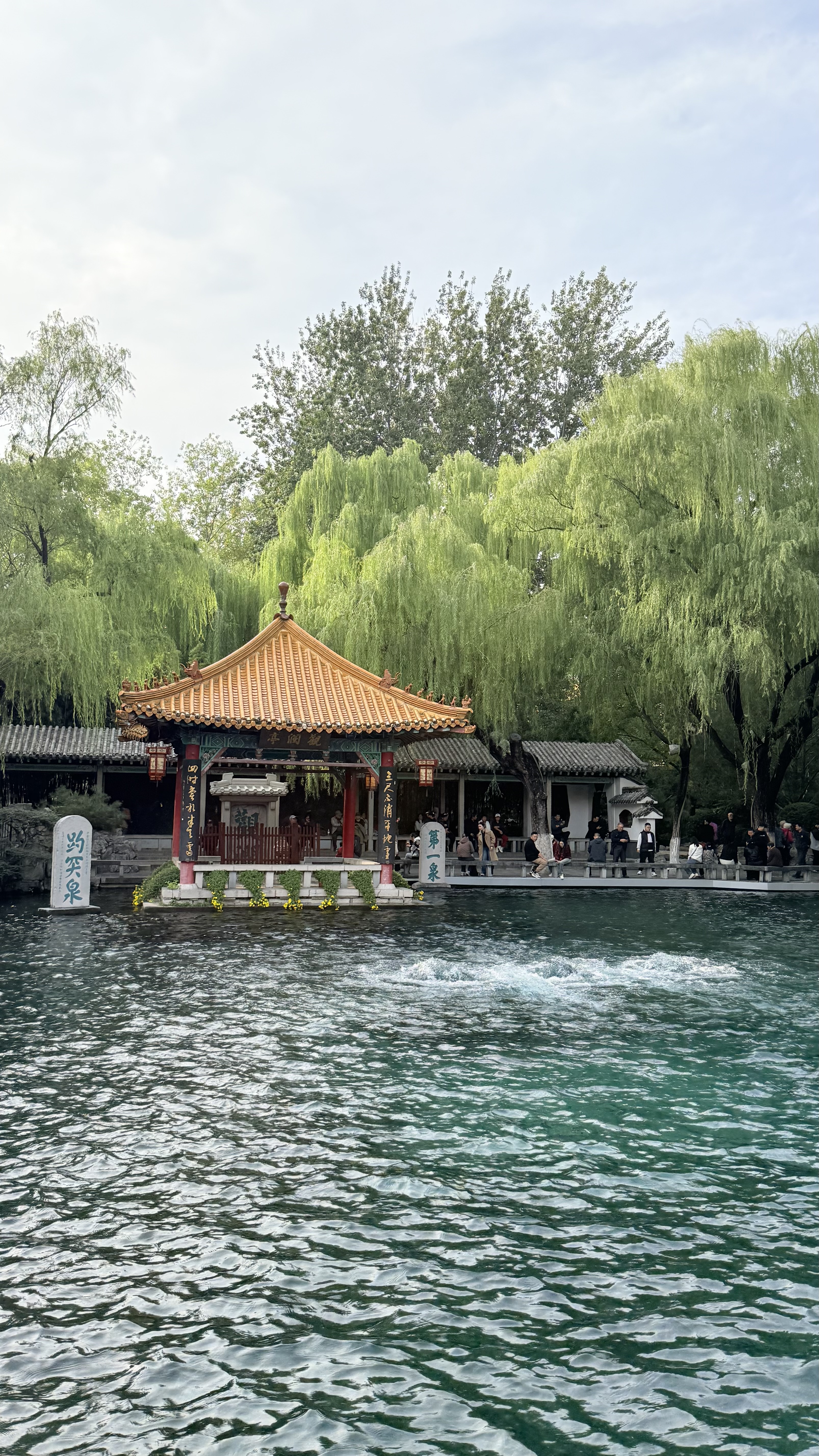 济南·大明湖-湖岸亭台在绿荫中临水而立.jpeg