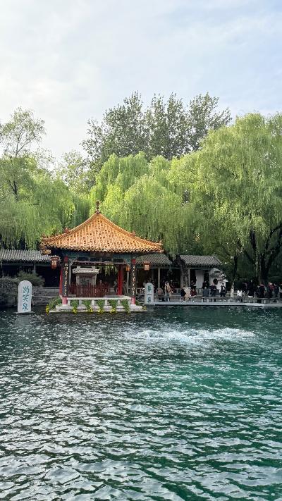 济南·大明湖-湖岸亭台在绿荫中临水而立
