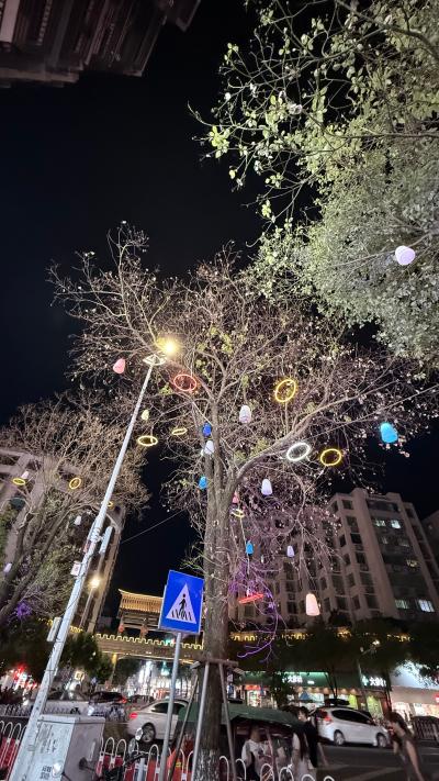 潮州-夜晚街头挂彩灯的大树