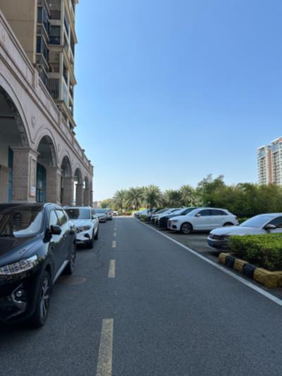 珠海-路边停满车的街道_2