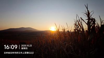 舒兰-夕阳下的玉米地_9