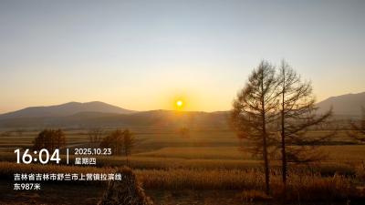 舒兰-夕阳下的田野与松树
