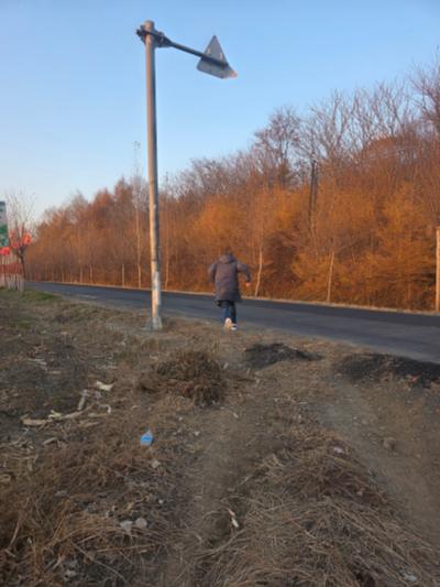 舒兰-秋日山路旁的路灯