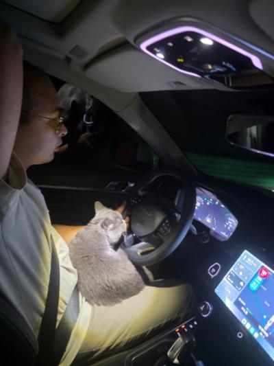 铜陵-开车的男子与蓝猫_2