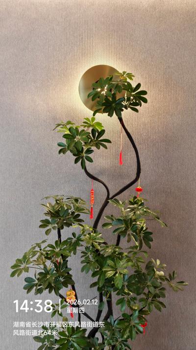 长沙-墙上的圆形壁灯与绿植_2