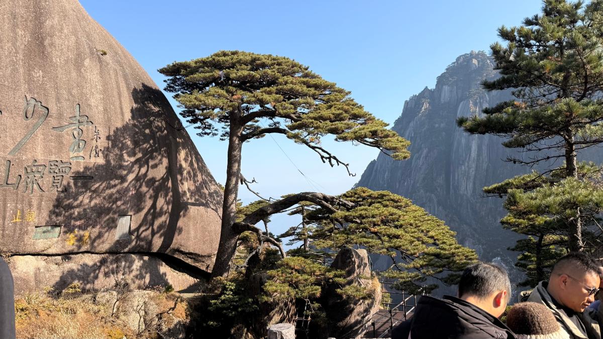 黄山-奇松立在峭壁与云海之间.jpeg