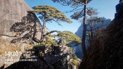 黄山-黄山奇松与岩壁