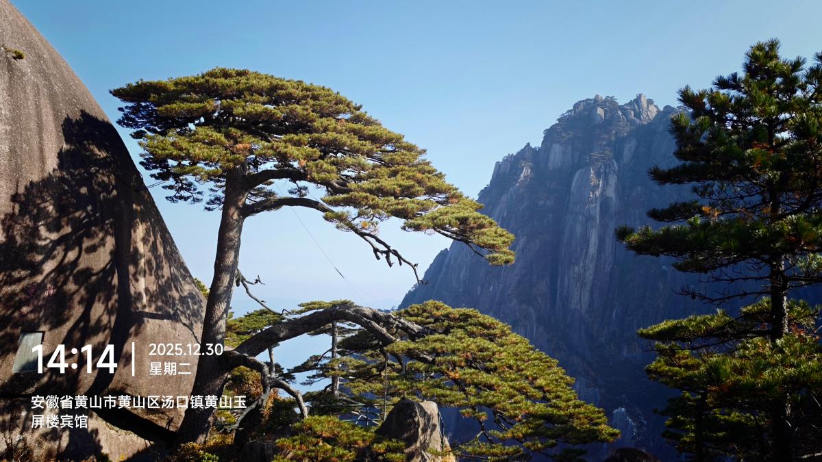 黄山-黄山迎客松_3.jpg